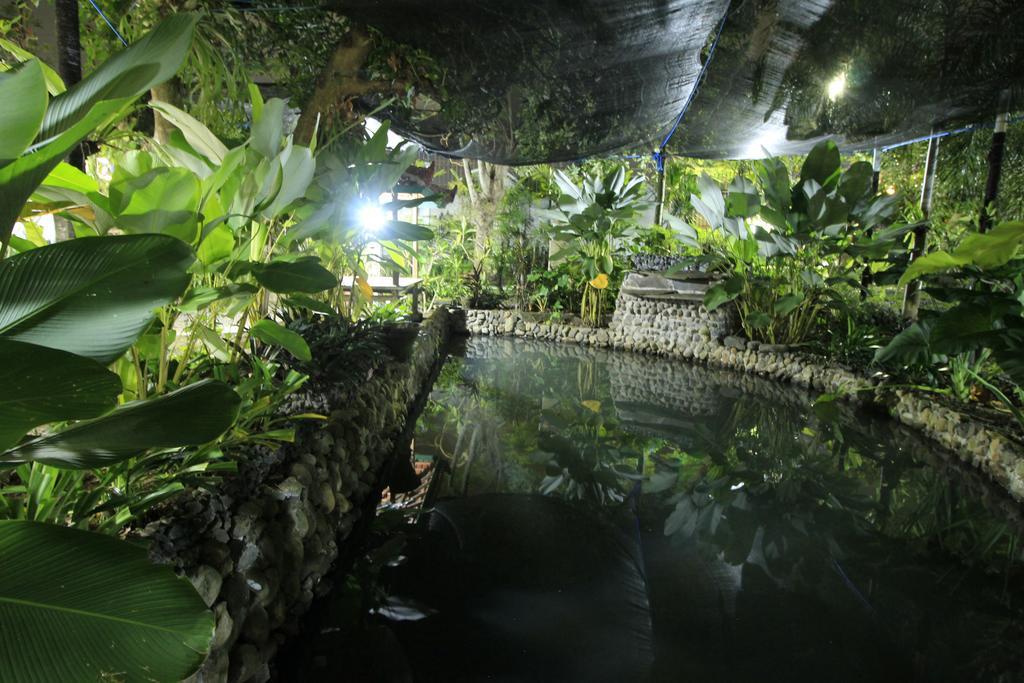 Villa Bale Seni Mataram Exteriér fotografie